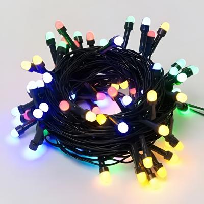 China Beautiful Colorful Fairy Led Black Wire Party Praise Light Christmas Decoration String Light for sale