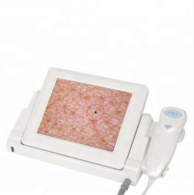 China Hot Portable Digital Skin Wrinkle Analysis Skin And Hair Analyzer Machine With 8 Inch LCD Display Beauty Salon Equipment for sale