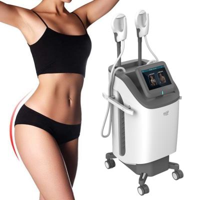 China Weight Loss Hiemt Slimming Beauty Machine For Body Shaping Treatment Tesla Sculpt Slim Lose Weight Fat Hiemt pro for sale