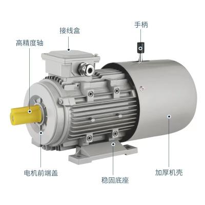 China Yej Totally Enclosed AC Three Phase Induction Motor for sale