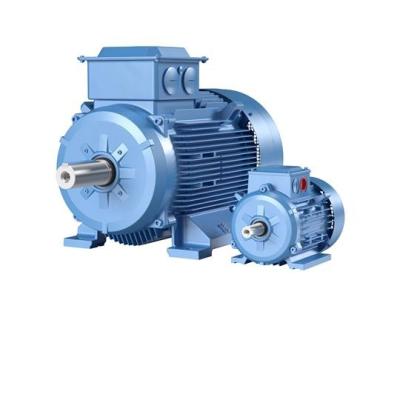 China Factory Direct Supply 2023 Totally Included Three Phase AC Motors for sale