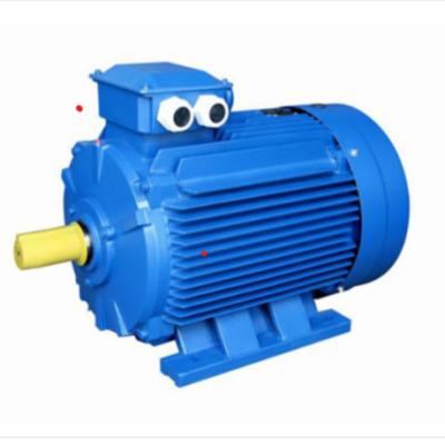 China YE3 15KW 18.5KW 22KW electric motor for sale