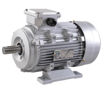 China Aluminum Case 3KW Motor YE3-100L2-4 for sale