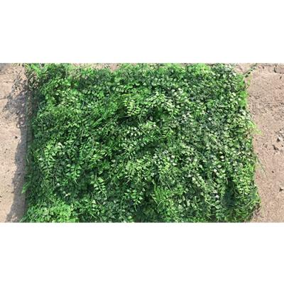 China Indor/Factory Outdoor Cheap Good Condition Decoration Artificial Green Grass Wall Plant Price For Sale for sale