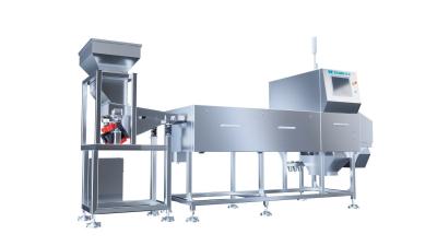 China Taiho X Ray Color Sorter for Foods Product Inspection with Factory Price for sale