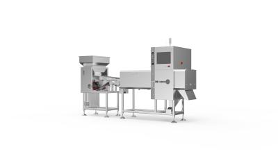 China Taiho Ore/Grain/Nut/Bean/Seed X Ray Color Sorter with Visual Inspection System for sale