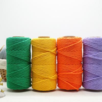 China Sustainable Wholesale DIY 4mm Single Strand Hand-braided Crafts Braided Rope Ingredients Macrame Cotton Rope for sale