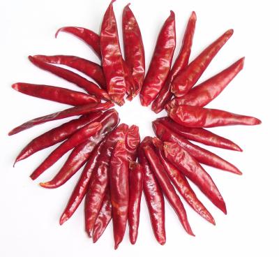 China Dry Chilli Powder Chilli Crushed Hot Natural BBQ 100% Chilli Products for sale