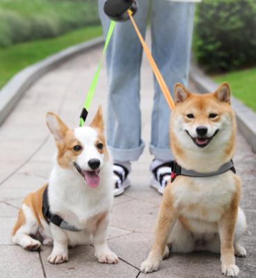 China 3M Double Retractable Dog Leashes Double Lights Dog Leashes Pet Leash Rope Lead Light for sale