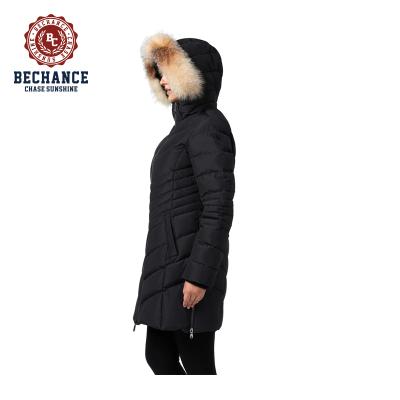 China Sustainable Winter Newcomer Padded Jacket Women Cotton Jacket for sale