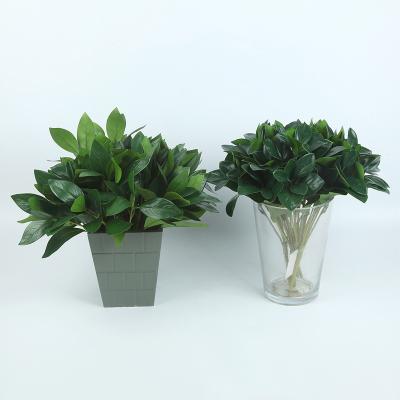 China High Simulation Selling 5 Handle Small Pea Green Artificial Evergreen Decorative Leaf for sale