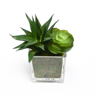 China High simulation new arrival mini potted tabletop plants, ornamental artificial plant for home decoration for sale