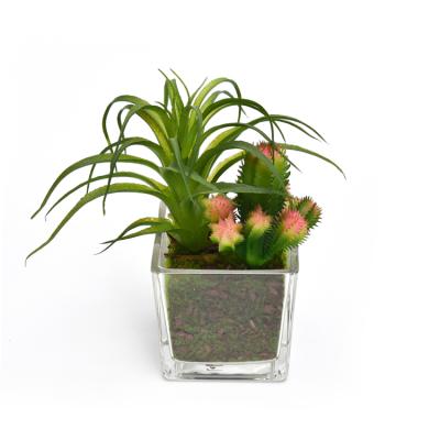 China Low Price High Simulation Green Indoor Decorative Artificial Plants High Simulation Potted Plant With Glass Potted for sale