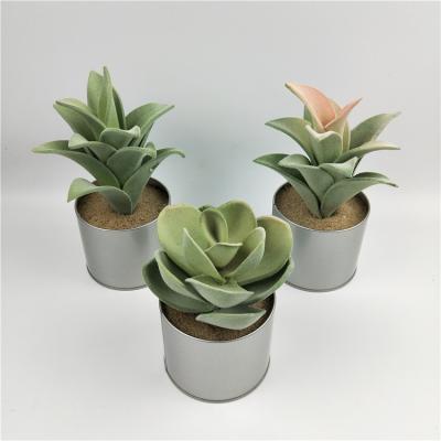 China Wholesale High Simulation Mini Artificial Succulent Plants Potted; Home Decorative Artificial Plants Potted for sale