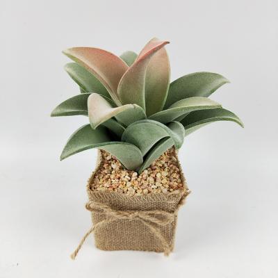 China Indoor Eco Friendly Green Artificial Potted Plants EVA High Simulation New Design for sale