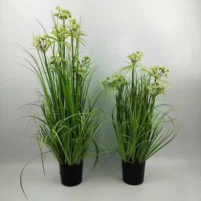 China Wholesale High Simulation Realistic Plants Preserved Artificial 7 Head Tubular Decorative Grass for sale