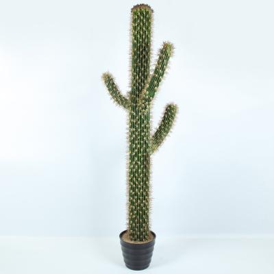 China High Simulation Artificial Potted Decorative Plants Supplier Outdoor Cactus for sale