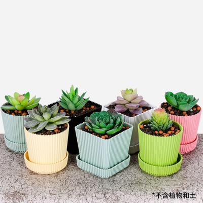 China Mutl's CLASSIC Color Mini Outdoor Plastic Flower Pots Planted for sale