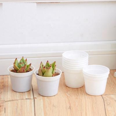 China Hot Selling Simple Style Plastic Round Flower Pot Nursery Plastic Pot For Garden Succulent Plants for sale