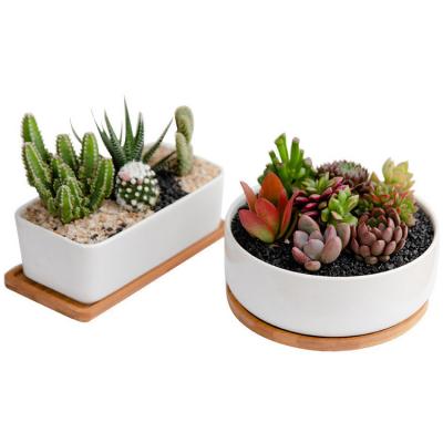 China CLASSIC Home and Garden Large White Ceramic Flower Pot Succulent Planter for sale