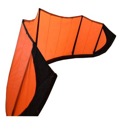 China Adults Factory Supply Watersports Kite Surfing Kites Kitesurf for sale