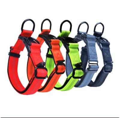 China New Charming Luxury Adjustable Nylon Reflective Collar Medium Large Padded Elastic Dog Collars Leashes. for sale