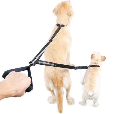 China 2 Dog Dog Double Pet Collar Viable Superior Outdoor Walking Nylon Leash With Comfortable Foam Handle for sale