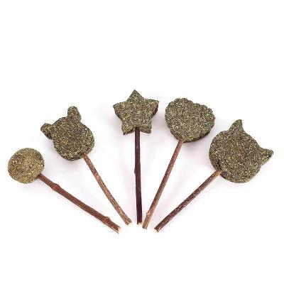 China Lovely Lollipop Design Viable Wholesale Catnip For Cat Tooth Cleaning Cat Molar Toys for sale