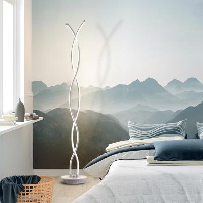 China Contemporary Easy Mounted Home Delicate Luxury Indoor Modern Aluminum Standing Hotel Led Floor Lamp for sale