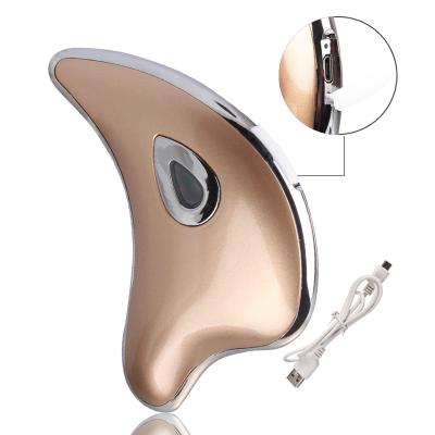 China Portable USB Rechargeable Facial Massager Home Use Face Lifting Beauty Device Sonic Vibration Face Massager for sale