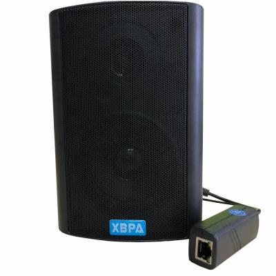 China DLNA Black Wall Mounted Speaker. High-fidelity network high-fidelity loudspeaker. POE power supply for sale