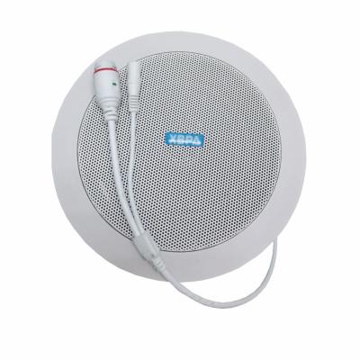 China AirPlay POE Network IP Speaker 10W-20W-30W for sale