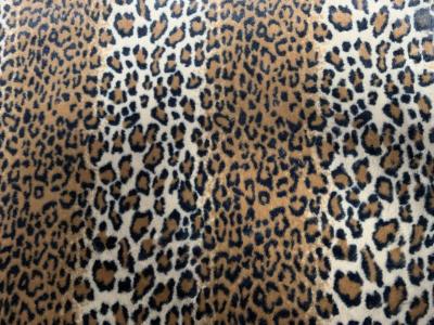 China Velboa Printing fabric soft finish with high quality zebra design, snake design, any fashion design finest quality super for sale