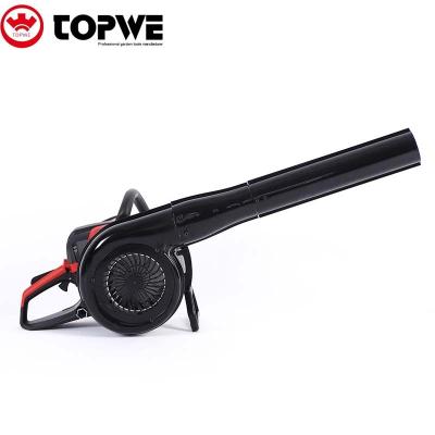 China TOPWE Low Price Diesel Engine Blower Roadmap Cordless Blower 58cc Cleaning Blower 6658 for sale