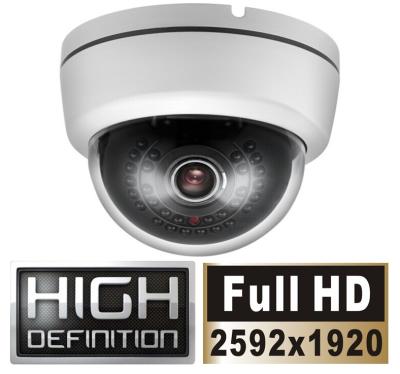 China De infrarode Camera's van Newworking HD IP Te koop