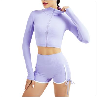 China 2021 New Style Sustainable Gym Fitness Sets For Women Sportswear Eco-friendly Bodycon Two Piece Set Overalls One for sale