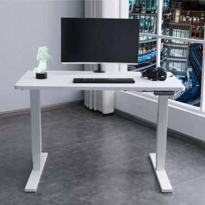 China Adjustable Multifunctional Ergonomic PC Computer Table Computing Office Desk Free Sample (Size) Best Gaming Desk for sale