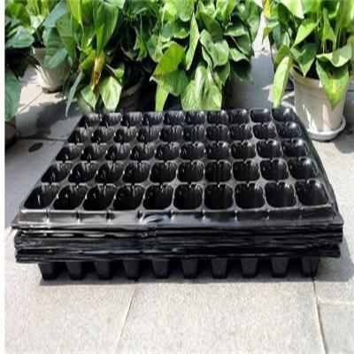 China Hydroponic Seed Tray Hydroponic Growing System Green Diy Bean Sprouts Plant Plastic Tray Home Kitchen Eco-Friendly for sale