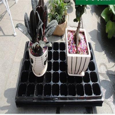 China Eco-friendly Mini Greenhouse Hydroponic Plant Grow Seed Trays Cell Starter Seed Forestry Vegetable Nursery Sowing Trays Greenhouse for sale