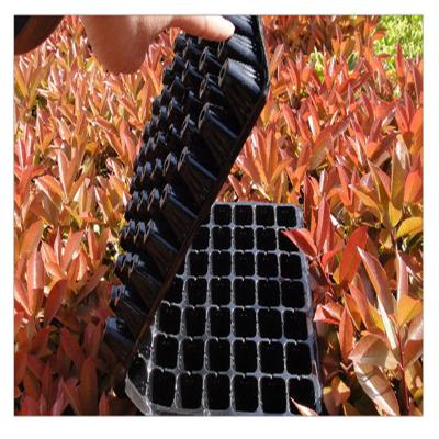 China Eco-Friendly System 200 Home Hydroponic Cell Kitchen Factory China Plant Black Plastic Rectangular Seed Tray Seed Nursery Trays for sale