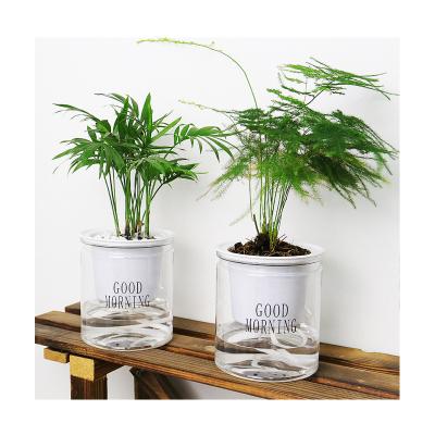 China Modern Indoor Office Around Hydroponic Transparent Clear Succulents Bunga Planter Self Watering Bulk Flower Plant Plastic Pots for sale