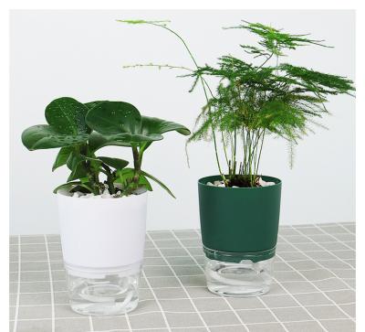 China Modern Indoor Office Around Hydroponic Transparent Clear Succulents Bunga Planter Self Watering Bulk Flower Plant Plastic Pots for sale