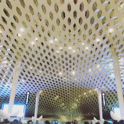 China New Fashion Construction Design Aluminum Alloy Aluminum Industrial Perforated Ceiling For Selling for sale