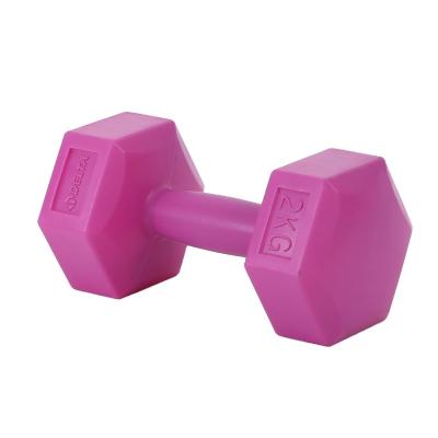 China Eco-friendly Cement Dumbbell PVC Cement Hex Dumbbell Gym PVC Coated Hex Dumbbell for sale