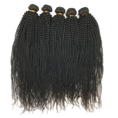 China Wholesale 10-30inches Afro Curly Virgin Human Hair Bundles Wholesale 10-30inches Afro Kinky Curly Virgin Human Hair Bundles for sale