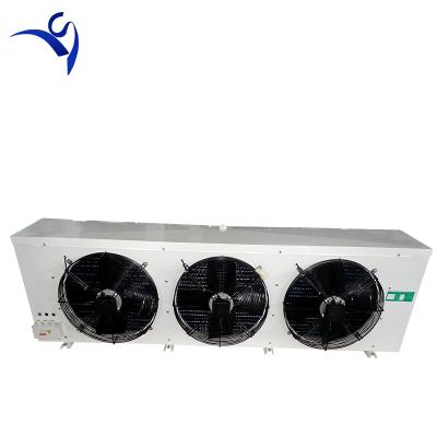 China Vegetable Cold Storage Room Freezer Room DD22 Air Cooled Cold Storage Evaporator for sale