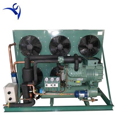 China Storage Room Freezer Room 30HP Bitzer Compressor R404a Cold Semi-Hermetic Two Stage Condensing Unit For Cold Storage for sale