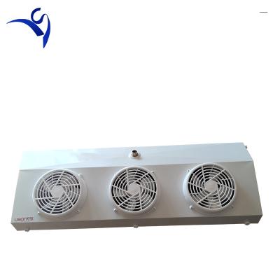 China J2 Hotels Supermarket Ceiling Type Cold Room Air Cooler For Cold Storage for sale