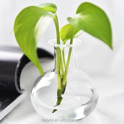 China Mini Greenhouse Hydroponic Home Desktop Planter Plant Vase Decoration Glass Flower Vase/Glass Vases for sale