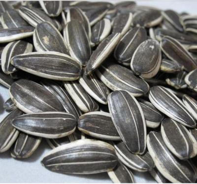 China Dry Raw Ukrainian Wholesale Sunflower Seeds, Bakery Grade for sale